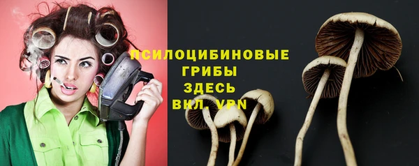 мдпв Осташков