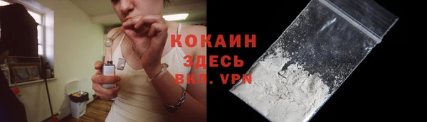 мдпв Осташков