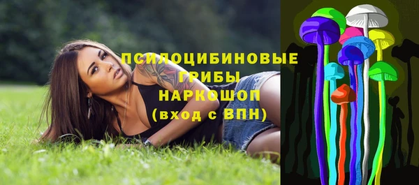 молекула духа Алзамай