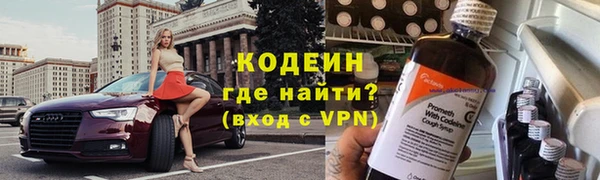 молекула духа Алзамай