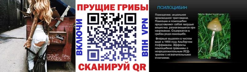МЕГА как войти  Белгород  Галлюциногенные грибы Psilocybine cubensis  купить  сайты 